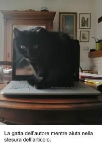 La gatta dell'autore mentre aiuta nella stesura dell'articolo